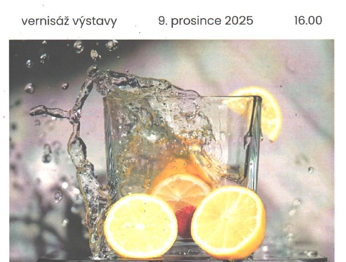 Výstava fotografií žákyň ZŠ Černčice